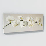 Orchid Elegant Essence 20