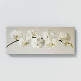 Orchid Elegant Essence 20