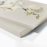 Orchid Elegant Essence 20