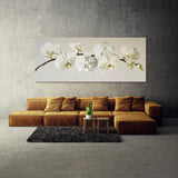 Orchid Elegant Essence 20