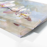 Orchid Elegant Essence 9
