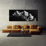 Orchid Eternal Elegance 16