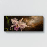 Orchid Grace 1