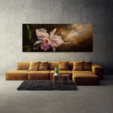 Orchid Grace 1