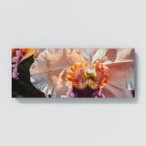 Orchid Petal Elegance 4
