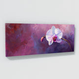 Orchid Regal Bloom 8