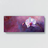 Orchid Regal Bloom 8