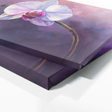 Orchid Regal Bloom 8