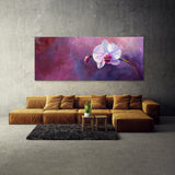 Orchid Regal Bloom 8