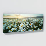 Daisie Daisy Dreamscape 18