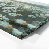 Daisie Daisy Dreamscape 18
