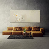 Daisie Daisy Elegance 6