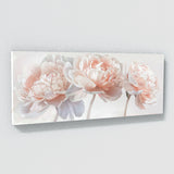 Peonie Blushing 11