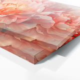Peonie Sunrise 9