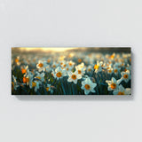 Daffodil Dreamy Field 13