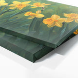 Daffodil Radiance 1