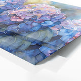 Hydrangea Dewy 9