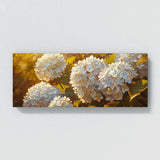 Hydrangea Golden Glow 4