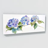 Hydrangea Graceful Elegance 7