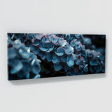 Hydrangea Moody Elegance 13