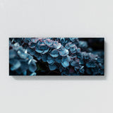 Hydrangea Moody Elegance 13