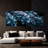 Hydrangea Moody Elegance 13