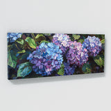 Hydrangea Nocturnal 2