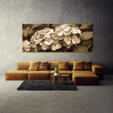 Hydrangea Sepia Nostalgia 17
