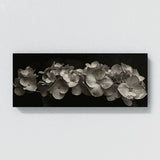 Hydrangea Timeless Bloom Cinema 19