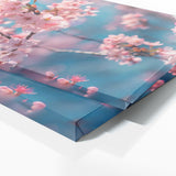 Cherry Blossom Blossom 18