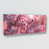 Cherry Blossom Cherry 17