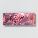 Cherry Blossom Cherry 17