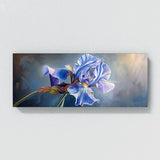 Iris In Bloom 1