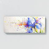 Iris Iris Dreamscape 6