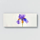 Iris Solitary Iris Elegance 7