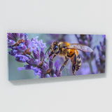 Lavender Bee Ballet 18