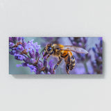 Lavender Bee Ballet 18