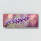 Lavender Dreamscape 12
