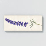 Lavender Elegant Bloom 6