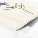 Lavender Elegant Bloom 6