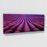 Lavender Fields Aerial 17