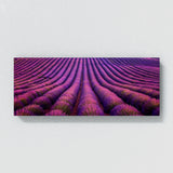 Lavender Fields Aerial 17
