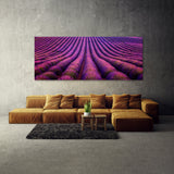 Lavender Fields Aerial 17