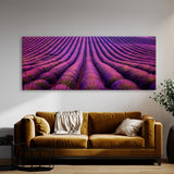 Lavender Fields Aerial 17