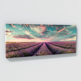 Lavender Horizon Drama 14