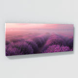 Lavender Mystic Dawn 13