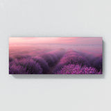 Lavender Mystic Dawn 13