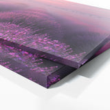 Lavender Mystic Dawn 13