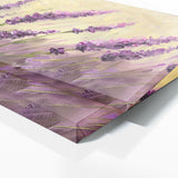 Lavender Swaying 3