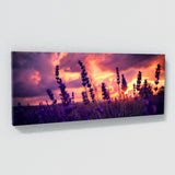 Lavender Twilight Silhouette 16